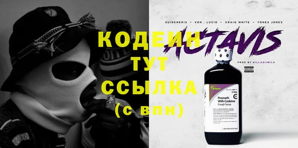 дживик Каменка