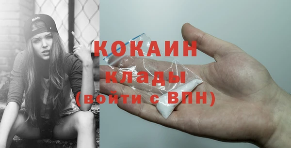 дживик Каменка
