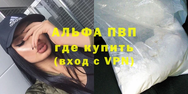 дживик Каменка