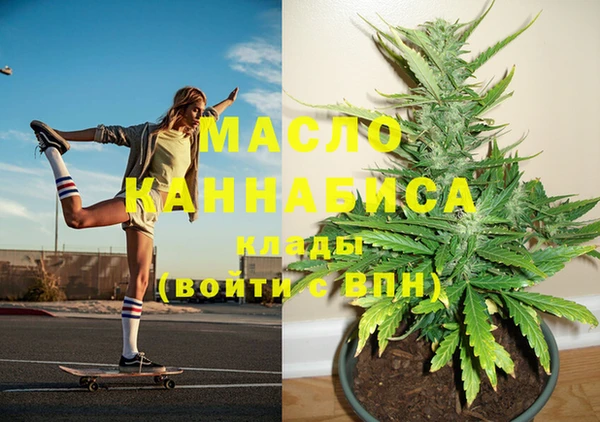 дживик Каменка